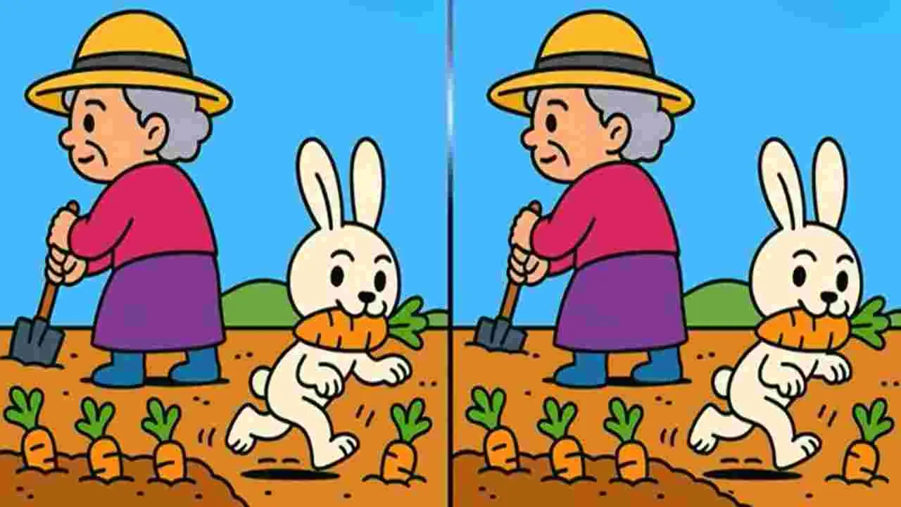 Picture Puzzle: మీరు జీనియస్ అయితే.. ఈ ఫొటోల్లోని మూడు తేడాలను 35 సెకెన్లలో కనిపెట్టండి