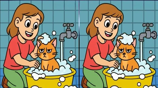 Picture Puzzle: మీ కళ్ల పవర్‌కు పరీక్ష.. ఈ ఫొటోల్లోని మూడు తేడాలను 33 సెకెన్లలో కనిపెట్టండి