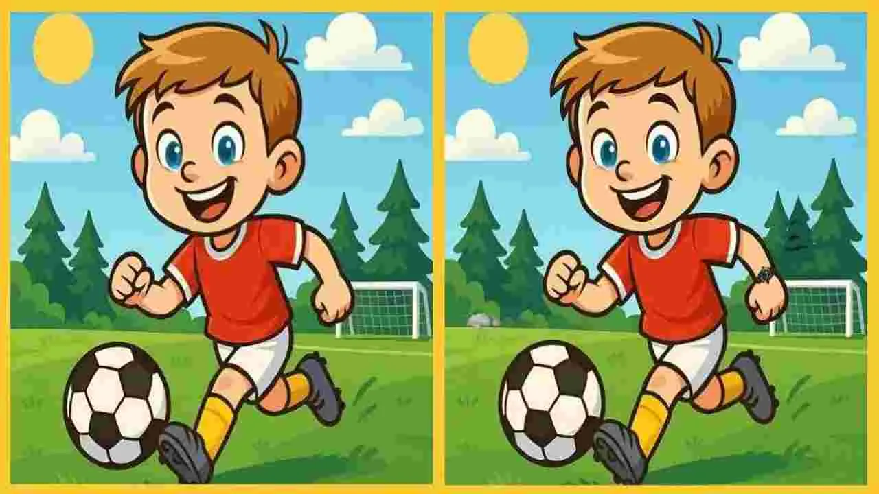 Picture Puzzle: మీ అబ్జర్వేషన్ రేంజ్ ఎంత.. ఈ ఫొటోల్లోని మూడు తేడాలను 25 సెకెన్లలో కనిపెట్టండి