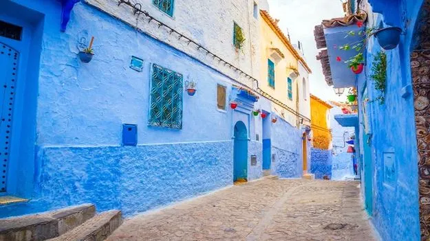 Optical Illusion Test: మీ చూపు షార్ప్ అయితే.. ఈ ఫొటోలో పిల్లి ఎక్కడుందో 5 సెకెన్లలో కనిపెట్టండి..