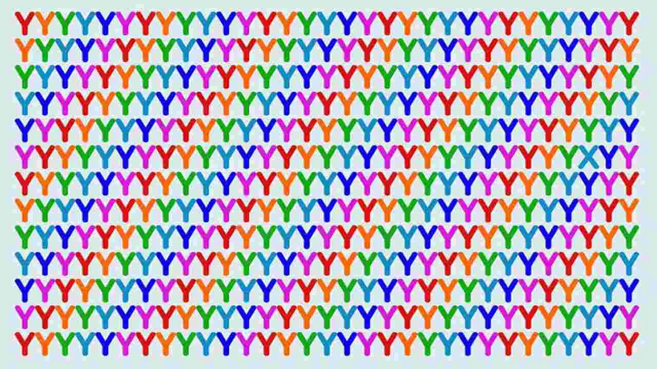 Optical Illusion Test: మీ కళ్ల షార్ప్‌నెస్‌కు టెస్ట్.. ఈ ఫొటోలో Yల మధ్యనున్న Xను 6 సెకెన్లలో కనిపెట్టండి..