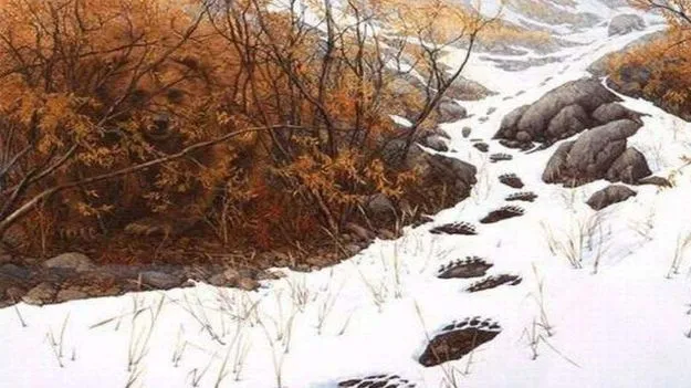 Optical Illusion Test: మీ దృష్టికి పరీక్ష.. ఈ మంచులో ఎలుగుబంటి ఎక్కడుందో 5 సెకెన్లలో కనిపెట్టండి..