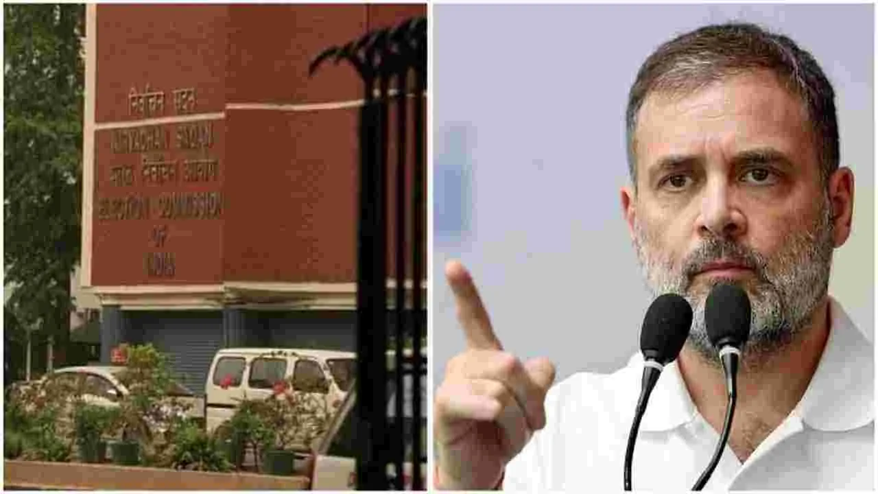 ECI: లిఖితపూర్వకంగా కోరితే స్పందిస్తాం.. రాహుల్‌‌ వ్యాఖ్యలపై ఈసీ