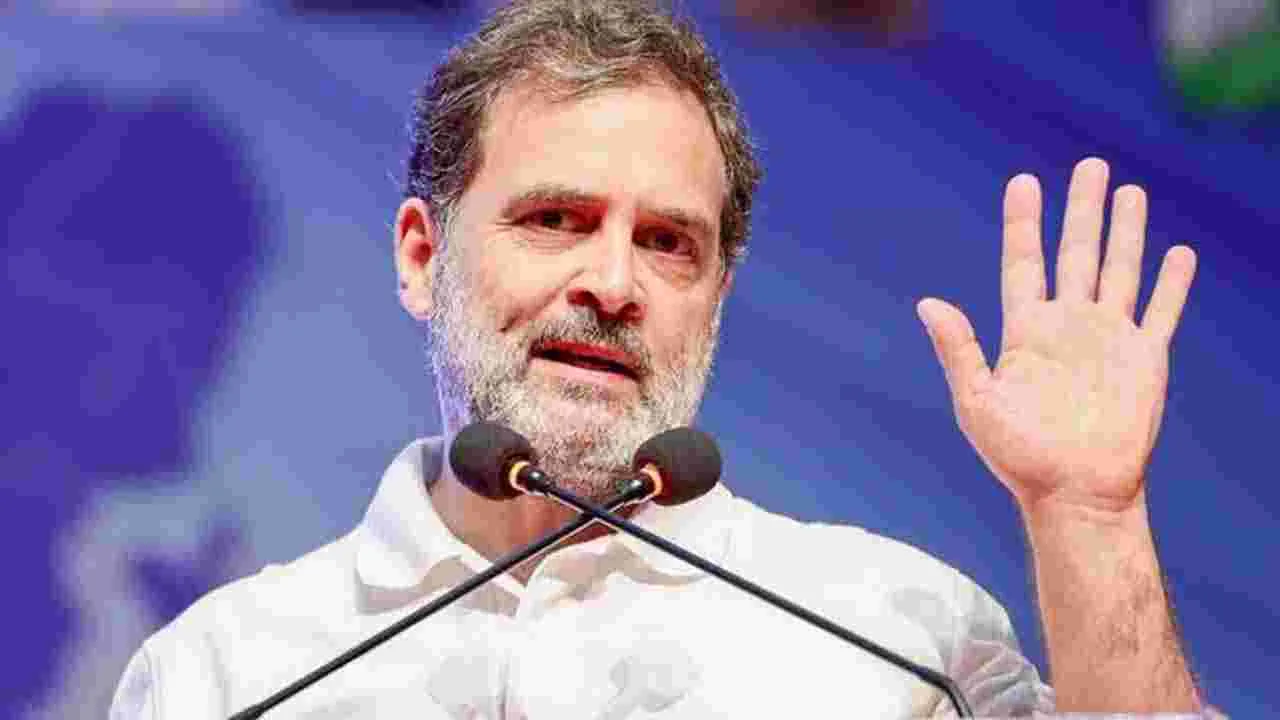 Rahul Gandhi: సైనికులను కించపరచే హక్కు లేదు.. రాహుల్‌పై కోర్టు కీలక వ్యాఖ్యలు