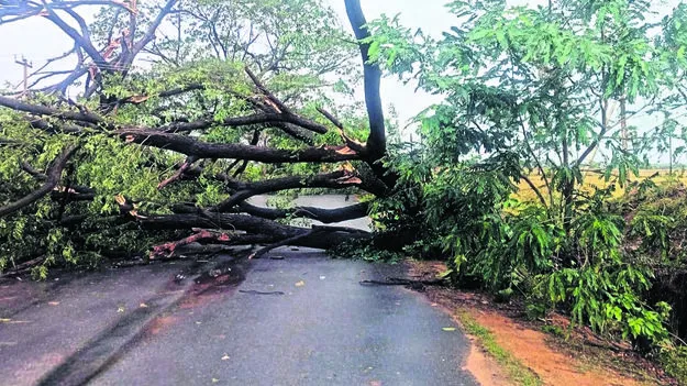 గాలి దుమారం, వర్షం