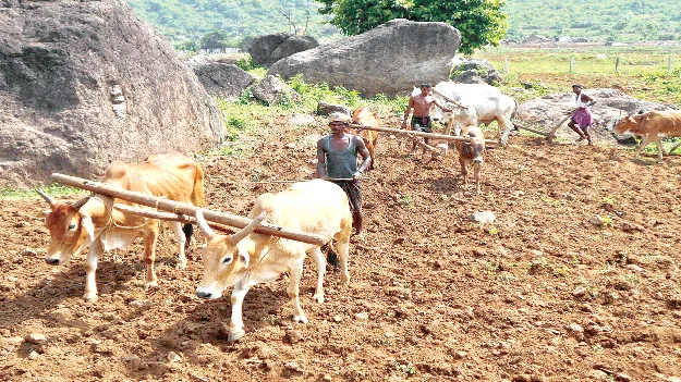 Annadata Sukhibhava  అన్నదాత సుఖీభవ ఈకేవైసీలో జిల్లాకు రెండో స్థానం