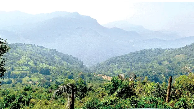   Mini Reservoir   మినీ రిజర్వాయర్‌  నిర్మిస్తే  సస్యశ్యామలమే..     