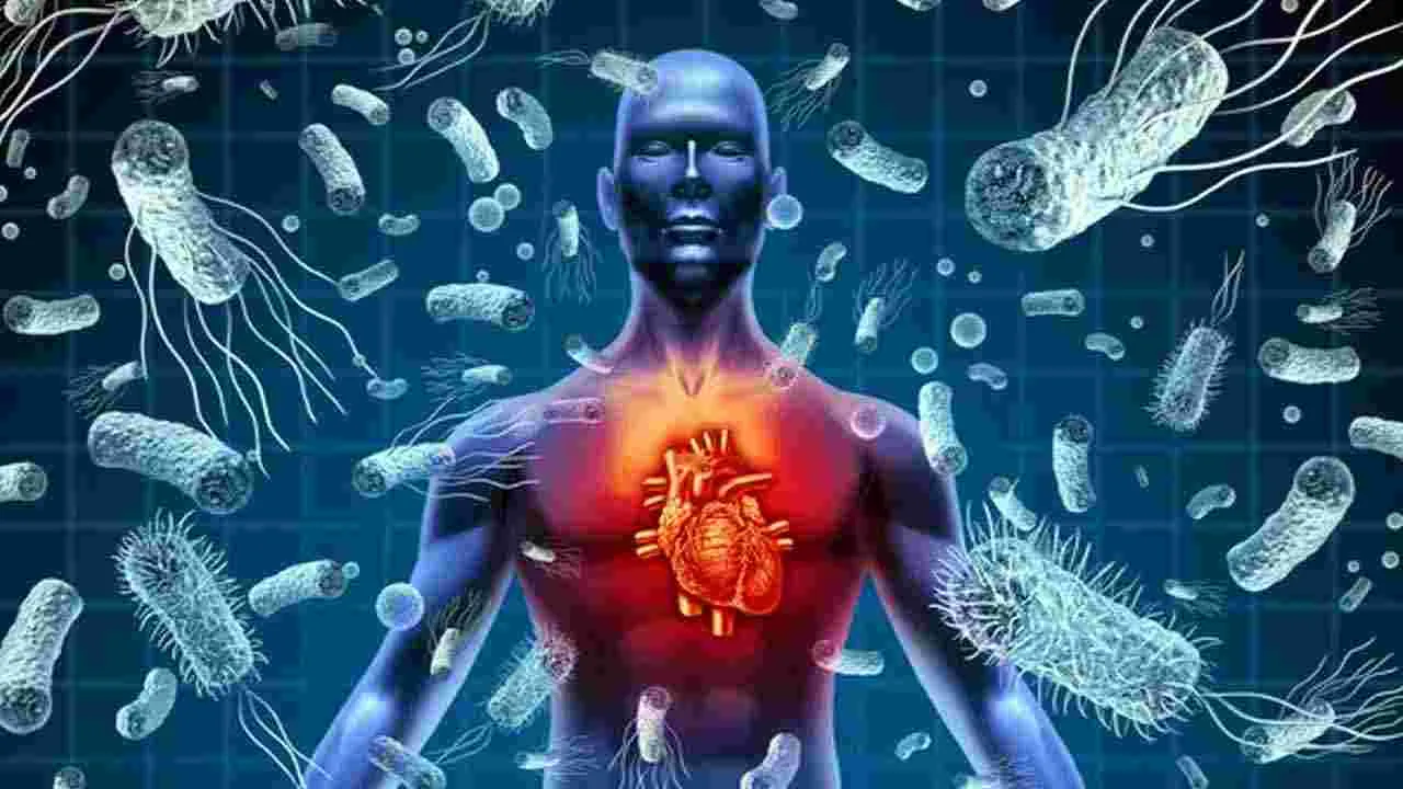 Health Tips: రోజూ పచ్చి టమోటాలు తినడం వల్ల కలిగే 6 ప్రయోజనాలివే.. 