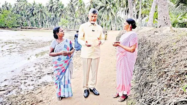 CM Chandrababu Naidu: ఇక గేరు మారుస్తా..