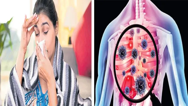 Monsoon Lung Care: ఊపిరితిత్తులు ఇలా సురక్షితం
