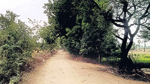  రహదారులకు మహర్దశ 