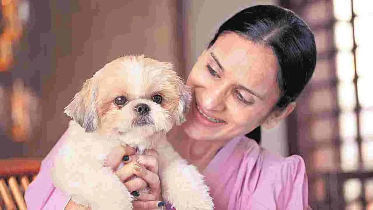 Pet Dogs: పెంపుడు జంతువులతో జాగ్రత్త..