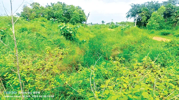 Limited to Proposals Only  ప్రతిపాదనలకే పరిమితం