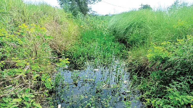   Janjavathi!  జంఝావతి నీరు అందట్లే!