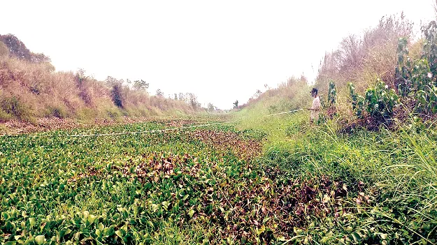   Zero Maintenance! పర్యవేక్షణ లేదు.. నిర్వహణ నిల్‌!