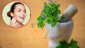 Herbal Skin Care: బ్యూటీ ప్రొడక్ట్స్‌తో పనిలేదు.. గ్లోయింగ్ స్కిన్ కోసం 5 ఆకులు చాలు.. 