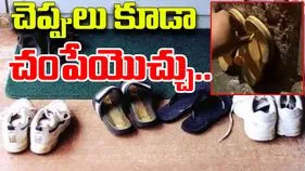 Watch Viral Video: చెప్పులే కదా అని చటుక్కున వేసుకుంటున్నారా..  పక్కకు తీసి చూడగా.. 