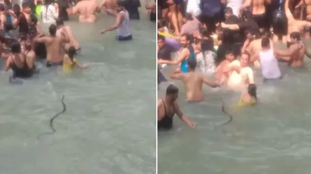 Viral Video: వామ్మో.. పాము ఎంత భయపెట్టింది.. జనాల మధ్యలో పాము ఏం చేసిందో చూడండి.. 