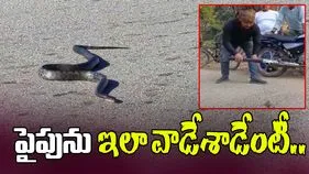 Snake Viral Video: పైపును ఇలాక్కూడా వాడొచ్చని ఇప్పుడే తెలిసింది.. వీడియో చూస్తే అవాక్కవ్వాల్సిందే.. 