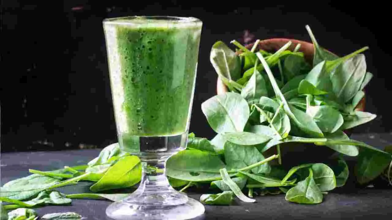 Monsoon Health Tips: వర్షాకాలంలో పాలకూర రసం తాగితే ఏమవుతుందో తెలుసా..
