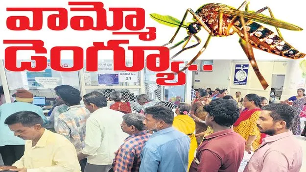వామ్మో డెంగ్యూ...