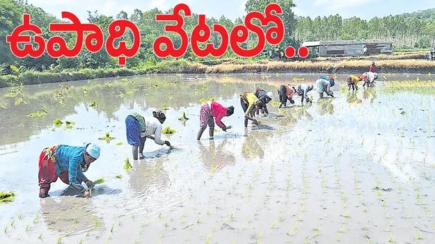  ఉపాధి వేటలో..