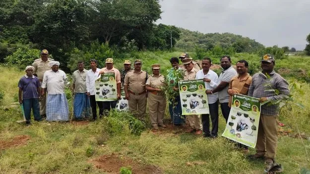 పచ్చదనం వైపు అడుగులు..