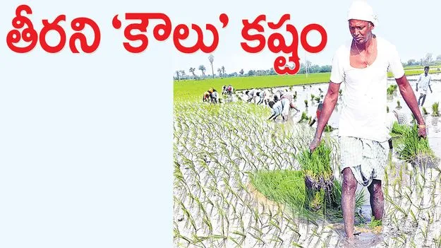 తీరని ‘కౌలు’ కష్టం 