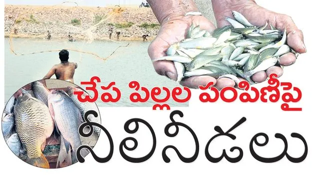 చేపపిల్లల పంపిణీపై నీలినీడలు