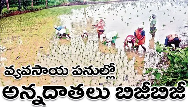 వ్యవసాయ పనుల్లో అన్నదాతలు బిజీబిజీ