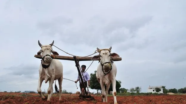 బీమాతో ధీమా