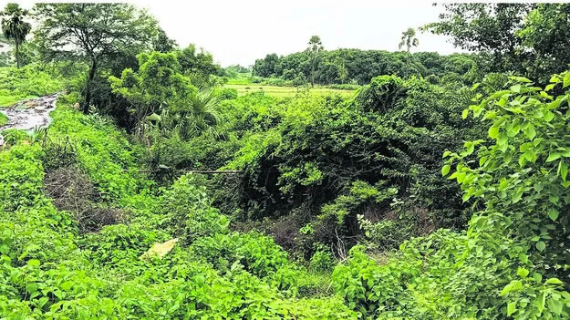  ఎస్సారెస్పీ కాల్వలకు మరమ్మతులేవీ?