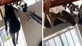 Funny Viral Video: ఆహా.. దొంగలంటే ఎంత మర్యాద.. సైకిల్ దొంగతో ఓనర్ ఏమన్నాడంటే..