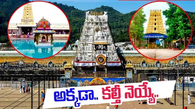 Fake Ghee Scam: ఆ దేవాలయాలకూ కల్తీ నెయ్యే