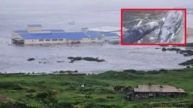 Tsunami Effect: సునామీ దెబ్బకు తీరానికి భారీ తిమింగలాలు.. జపాన్‌ అణుశక్తి కేంద్రం ఖాళీ..