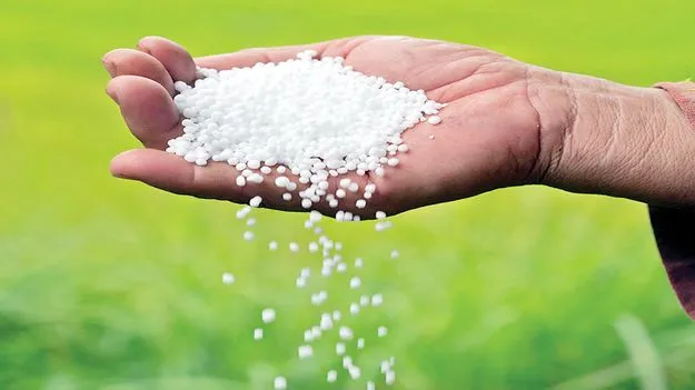 యూరియా.. మితమే..హితం!