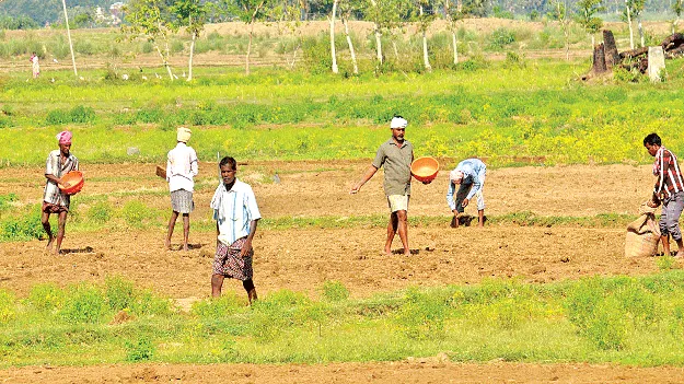 Karif sagu: సన్నాలు వద్దు.. ముదుగులే ముద్దు 