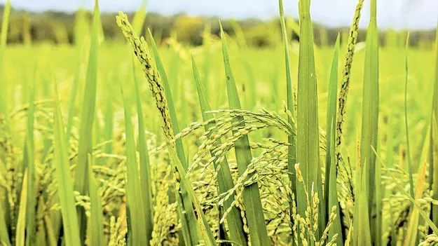 రుణ పరిమితి పెంపు 