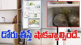Fridge Viral Video: నిర్లక్ష్యం ఇలాక్కూడా ఉంటుందా.. ఈ ఫ్రిడ్జ్‌ లోపల ఏముందో చూస్తే నోరెళ్లబెడతారు..  