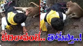 Monkey Funny Video: కొండ ఎక్కుతున్న యువకుడు.. సడన్‌గా ప్రత్యక్షమైన కోతి.. చివరకు చూస్తే.. 
