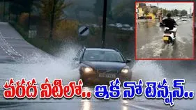 Driving Funny Video: వరద నీటిలో సేఫ్టీ ప్రయాణం.. ఇతడి ఐడియా మామూలుగా లేదుగా.. 