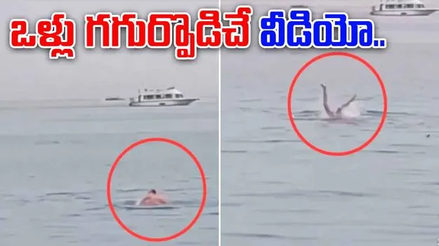 Shark chewed a man: నడి సముద్రంలో షార్క్‌కు దొరికేశాడు.. చివరకు అతడి పరిస్థితి ఏమైందంటే..