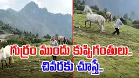 Horse Funny Video:  గుర్రం ముందు డాన్స్ చేస్తే ఇలాగే అవుతుంది మరి.. ఈమె పరిస్థితి చివరకు..