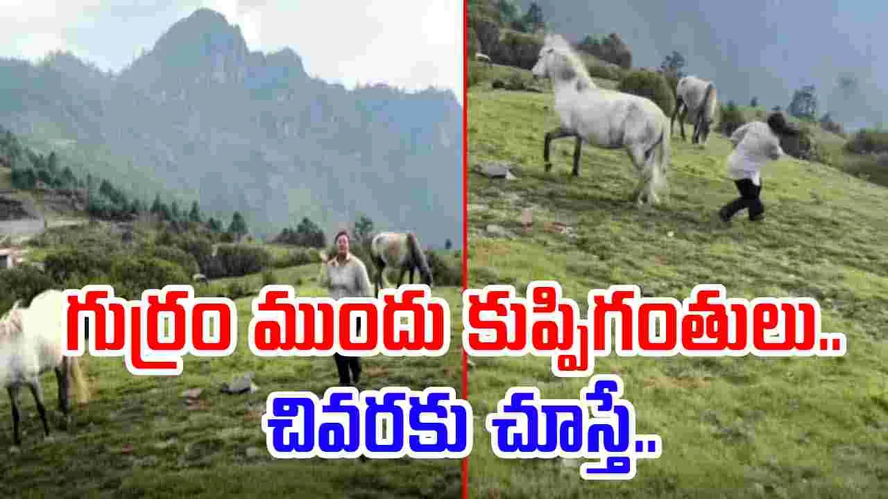 Horse Funny Video:  గుర్రం ముందు డాన్స్ చేస్తే ఇలాగే అవుతుంది మరి.. ఈమె పరిస్థితి చివరకు..