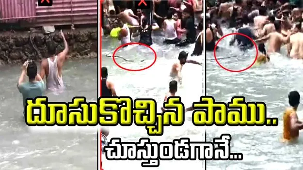 Viral Video: జలపాతం వద్ద ఈత కొడుతుండగా నీటిలోకి దూకిన పాము.. చివరికి జరిగింది చూస్తే షాకవ్వాల్సిందే..
