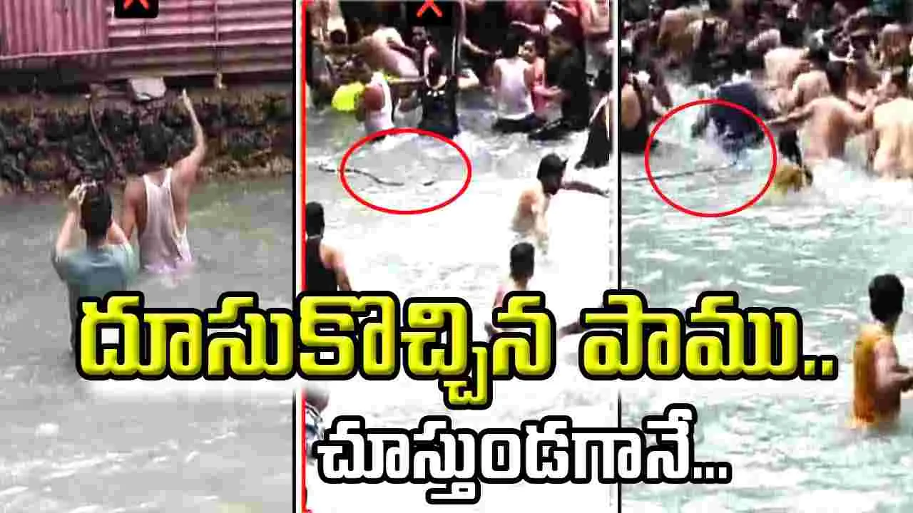 Viral Video: జలపాతం వద్ద ఈత కొడుతుండగా నీటిలోకి దూకిన పాము.. చివరికి జరిగింది చూస్తే షాకవ్వాల్సిందే.. 