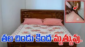 Shocking Viral Video: పడుకోవాలని వెళ్లాడు.. తల దిండు కింద చూసి ఖంగుతిన్నాడు.. 