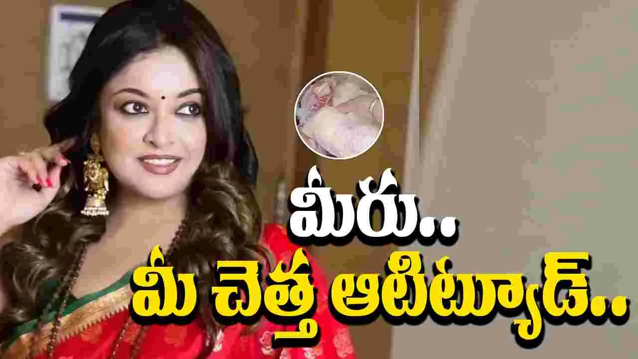 Tanushree Dutta Slams Troll: నెటిజన్‌కు అదిరిపోయేలా కౌంటర్ ఇచ్చిన హీరోయిన్