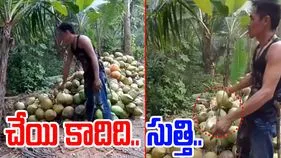 Watch Video:  ఏం తింటున్నావురా అయ్యా.. పచ్చి కొబ్బరికాయను ఎలా పగులగొట్టాడో చూస్తే.. 