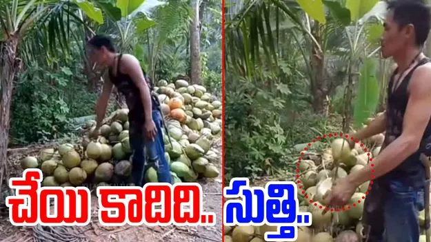 Watch Video:  ఏం తింటున్నావురా అయ్యా.. పచ్చి కొబ్బరికాయను ఎలా పగులగొట్టాడో చూస్తే.. 